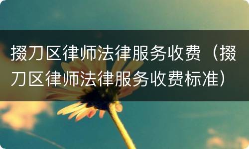 掇刀区律师法律服务收费（掇刀区律师法律服务收费标准）