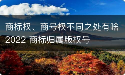 商标权、商号权不同之处有啥2022 商标归属版权号
