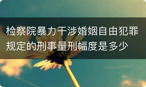 检察院暴力干涉婚姻自由犯罪规定的刑事量刑幅度是多少