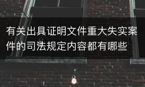 有关出具证明文件重大失实案件的司法规定内容都有哪些