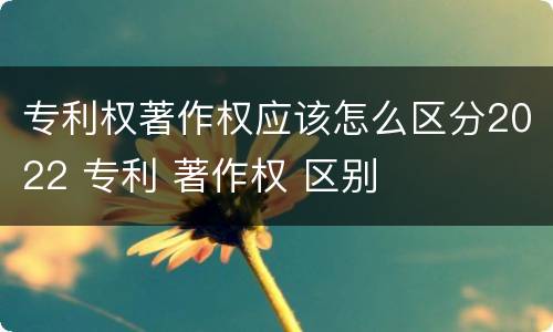 专利权著作权应该怎么区分2022 专利 著作权 区别