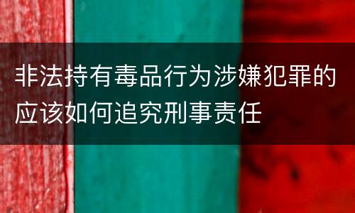 非法持有毒品行为涉嫌犯罪的应该如何追究刑事责任