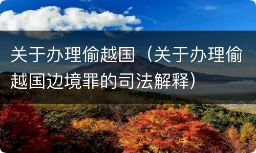 关于办理偷越国（关于办理偷越国边境罪的司法解释）