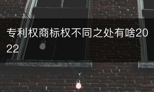 专利权商标权不同之处有啥2022
