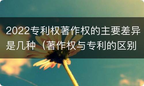 2022专利权著作权的主要差异是几种（著作权与专利的区别）