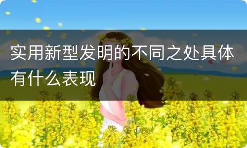 实用新型发明的不同之处具体有什么表现
