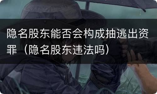 隐名股东能否会构成抽逃出资罪（隐名股东违法吗）