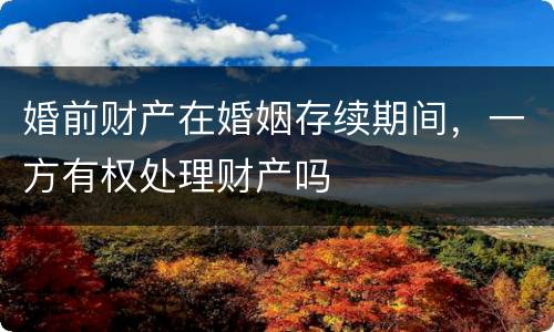 婚前财产在婚姻存续期间，一方有权处理财产吗