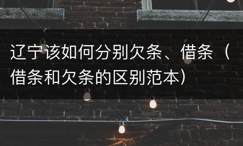 辽宁该如何分别欠条、借条（借条和欠条的区别范本）