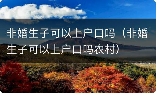 非婚生子可以上户口吗（非婚生子可以上户口吗农村）