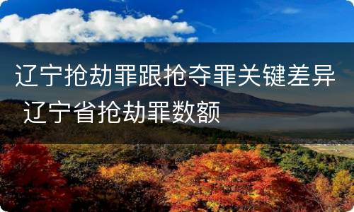 辽宁抢劫罪跟抢夺罪关键差异 辽宁省抢劫罪数额