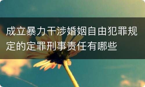 成立暴力干涉婚姻自由犯罪规定的定罪刑事责任有哪些