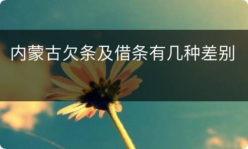 内蒙古欠条及借条有几种差别