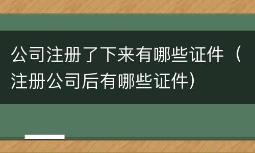 公司注册了下来有哪些证件（注册公司后有哪些证件）