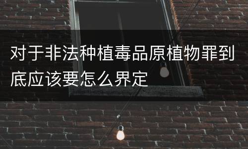 对于非法种植毒品原植物罪到底应该要怎么界定