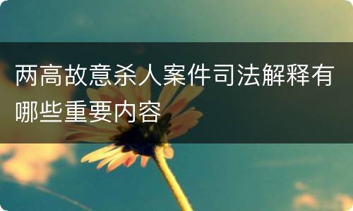 两高故意杀人案件司法解释有哪些重要内容