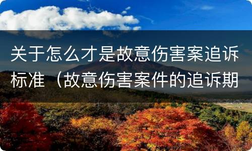 关于怎么才是故意伤害案追诉标准（故意伤害案件的追诉期）
