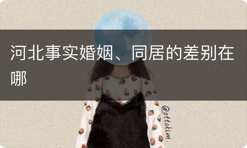 河北事实婚姻、同居的差别在哪