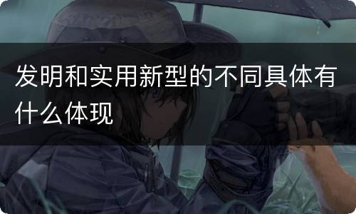 发明和实用新型的不同具体有什么体现