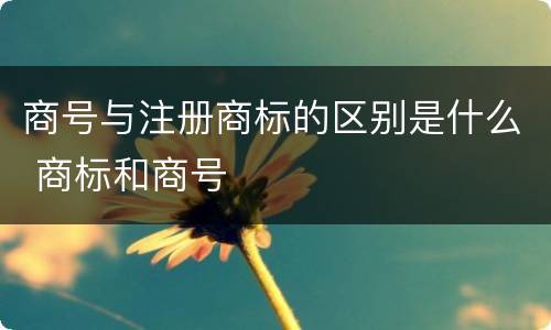 商号与注册商标的区别是什么 商标和商号