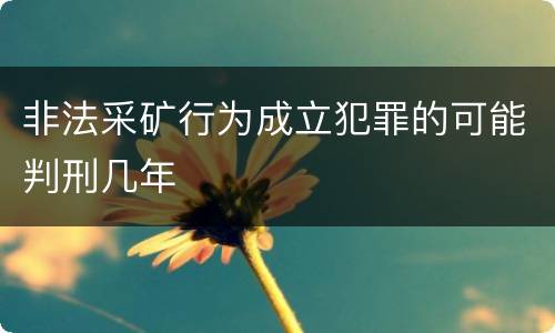 非法采矿行为成立犯罪的可能判刑几年