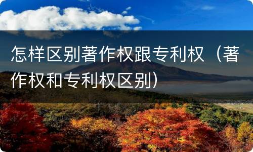 怎样区别著作权跟专利权（著作权和专利权区别）