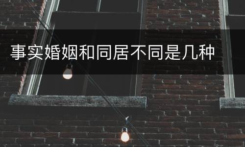 事实婚姻和同居不同是几种