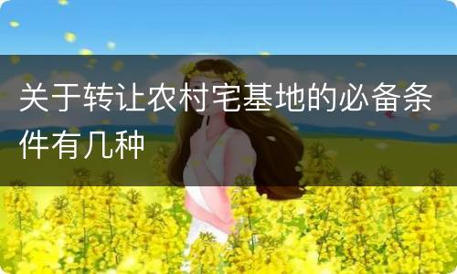 关于转让农村宅基地的必备条件有几种