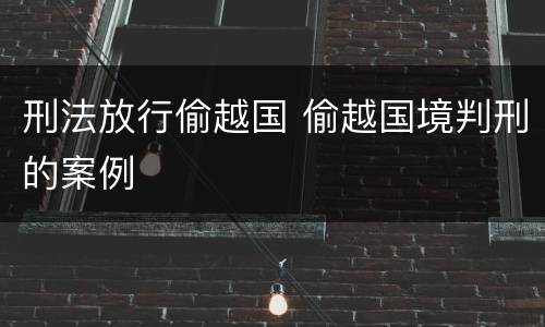 刑法放行偷越国 偷越国境判刑的案例