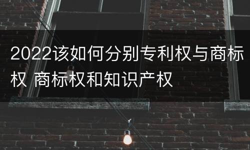 2022该如何分别专利权与商标权 商标权和知识产权