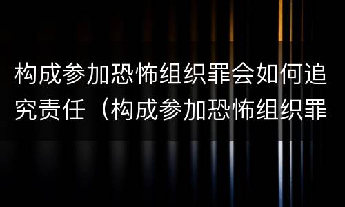 构成参加恐怖组织罪会如何追究责任（构成参加恐怖组织罪会如何追究责任呢）
