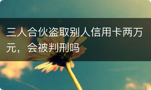 三人合伙盗取别人信用卡两万元，会被判刑吗