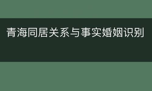 青海同居关系与事实婚姻识别