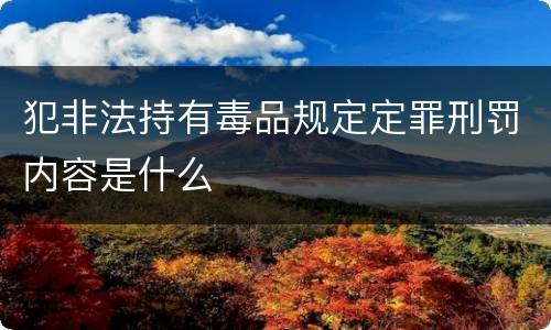 犯非法持有毒品规定定罪刑罚内容是什么