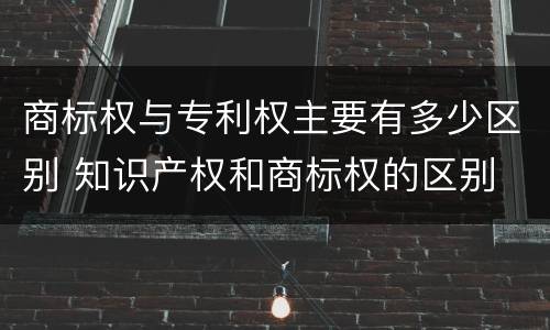 商标权与专利权主要有多少区别 知识产权和商标权的区别