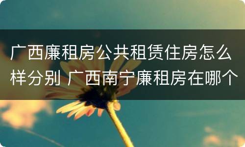 广西廉租房公共租赁住房怎么样分别 广西南宁廉租房在哪个区域