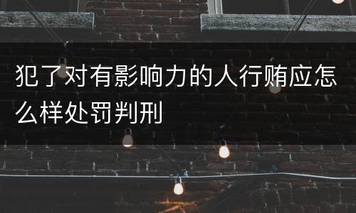 犯了对有影响力的人行贿应怎么样处罚判刑