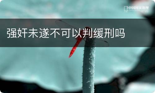 强奸未遂不可以判缓刑吗