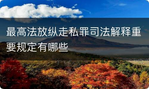 最高法放纵走私罪司法解释重要规定有哪些