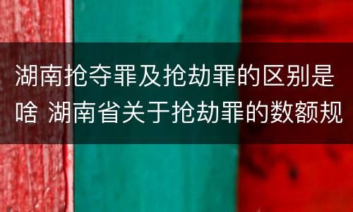 湖南抢夺罪及抢劫罪的区别是啥 湖南省关于抢劫罪的数额规定