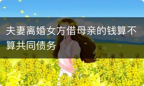 夫妻离婚女方借母亲的钱算不算共同债务