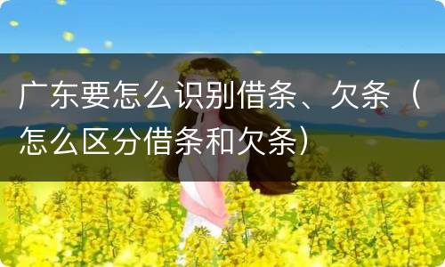 广东要怎么识别借条、欠条（怎么区分借条和欠条）