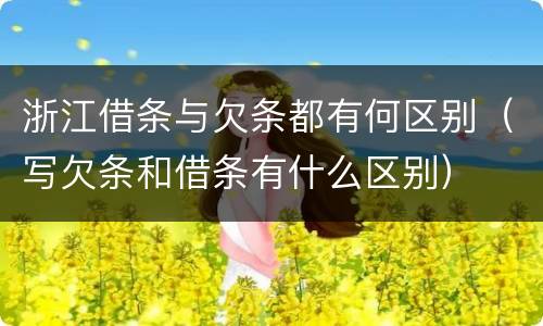 浙江借条与欠条都有何区别（写欠条和借条有什么区别）