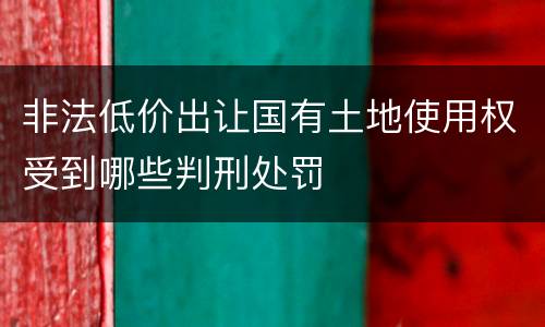 非法低价出让国有土地使用权受到哪些判刑处罚