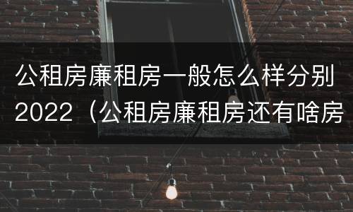 公租房廉租房一般怎么样分别2022（公租房廉租房还有啥房）