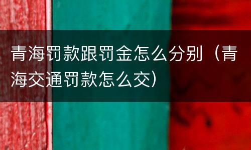 青海罚款跟罚金怎么分别（青海交通罚款怎么交）