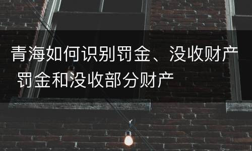 青海如何识别罚金、没收财产 罚金和没收部分财产