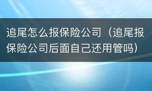 追尾怎么报保险公司（追尾报保险公司后面自己还用管吗）