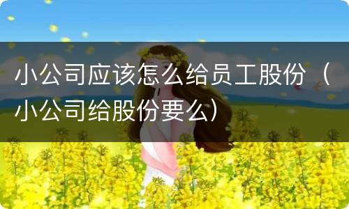 小公司应该怎么给员工股份（小公司给股份要么）