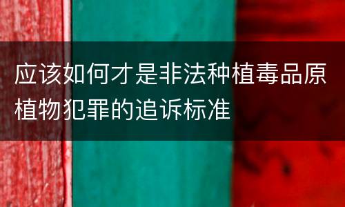 应该如何才是非法种植毒品原植物犯罪的追诉标准